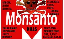 In Our Backyard, A Monsanto&nbsp;Perspective