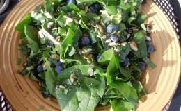 Raw Seed/Blueberry/Spinach Salad w/t Raspberry&nbsp;Vinagrette