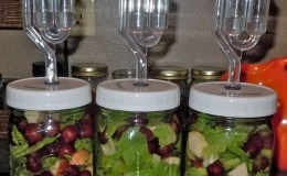 Fermented Vegetables